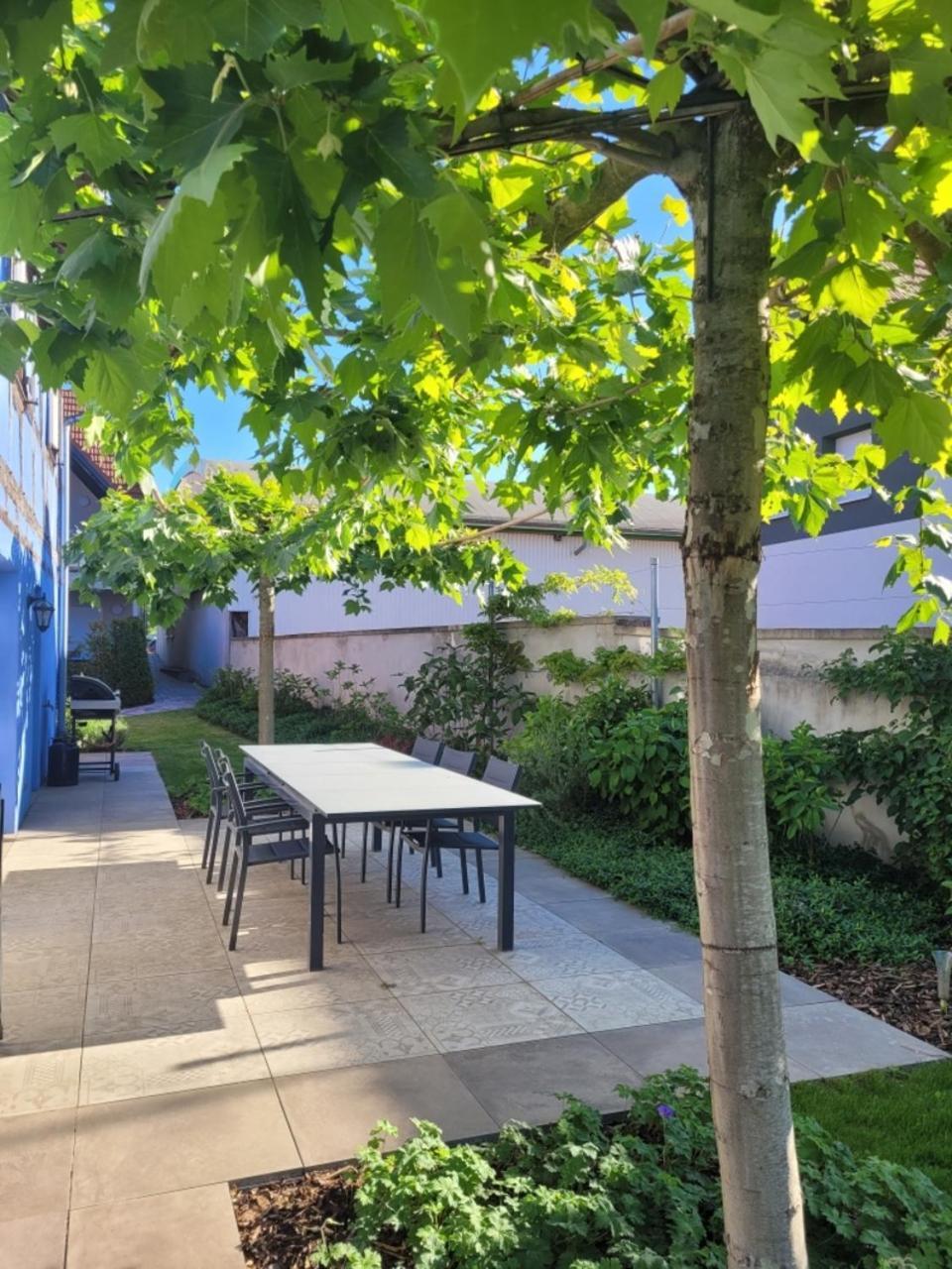 Le Clos Des Jardiniers Gottri Gerstheim Екстериор снимка